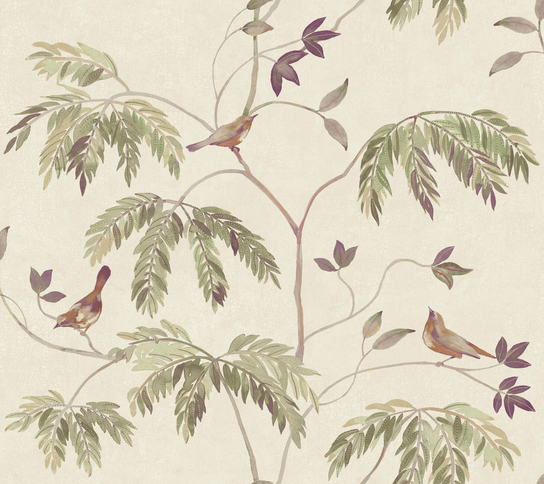1160-cillian-plum-botanical-bird-trail-wallpaper-1.jpg Cillian Plum Botanical Bird Trail Wallpaper