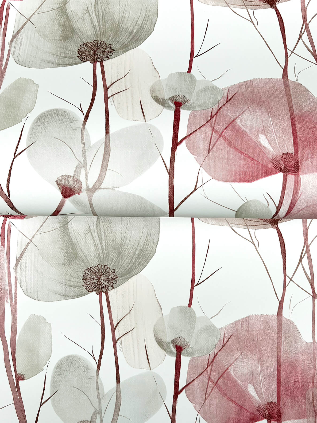 Cotswolds Poppies Red Floral Wallpaper