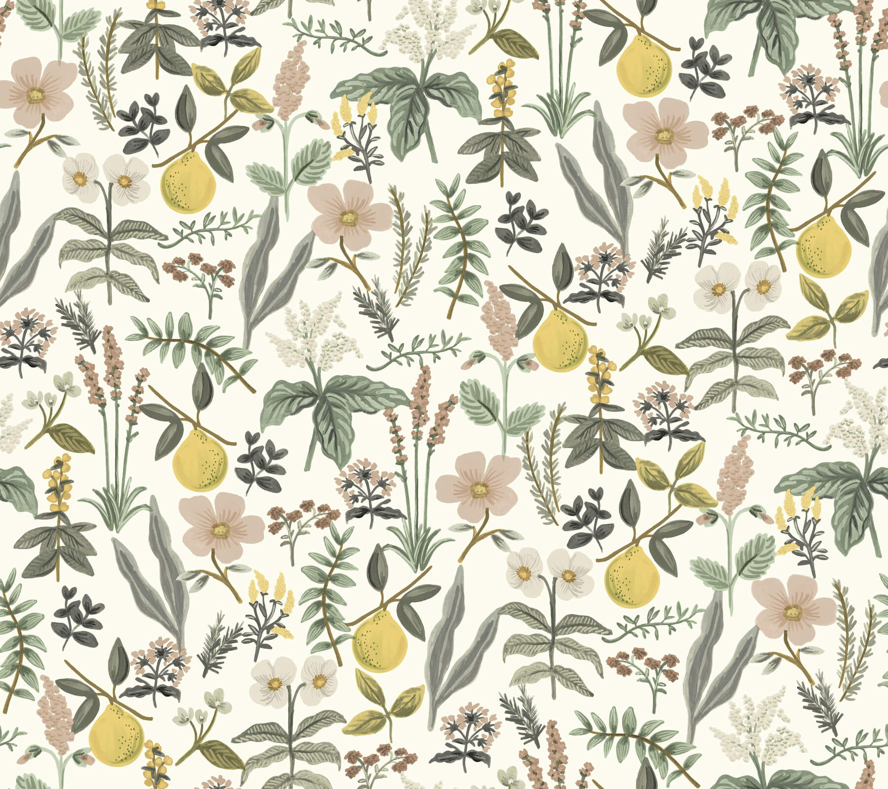 Herb Garden Cream Botanical Premium Peel  Stick Wallpaper