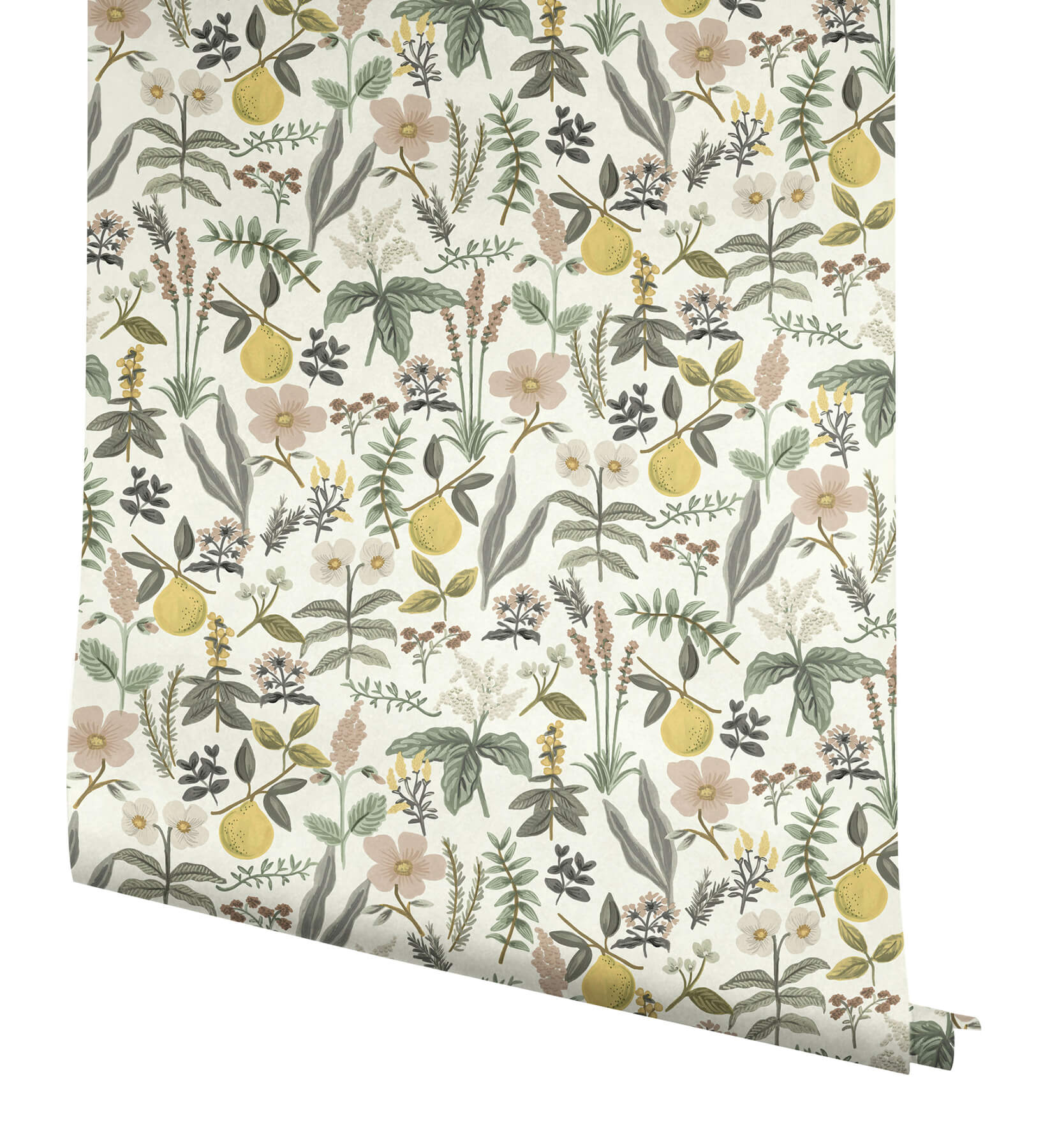 Herb Garden Cream Botanical Premium Peel  Stick Wallpaper