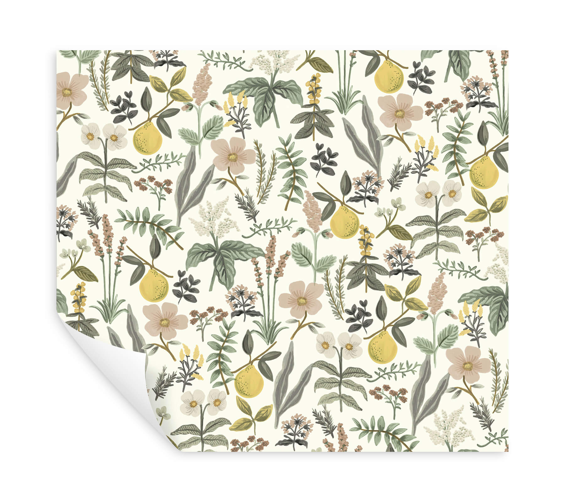 Herb Garden Cream Botanical Premium Peel  Stick Wallpaper
