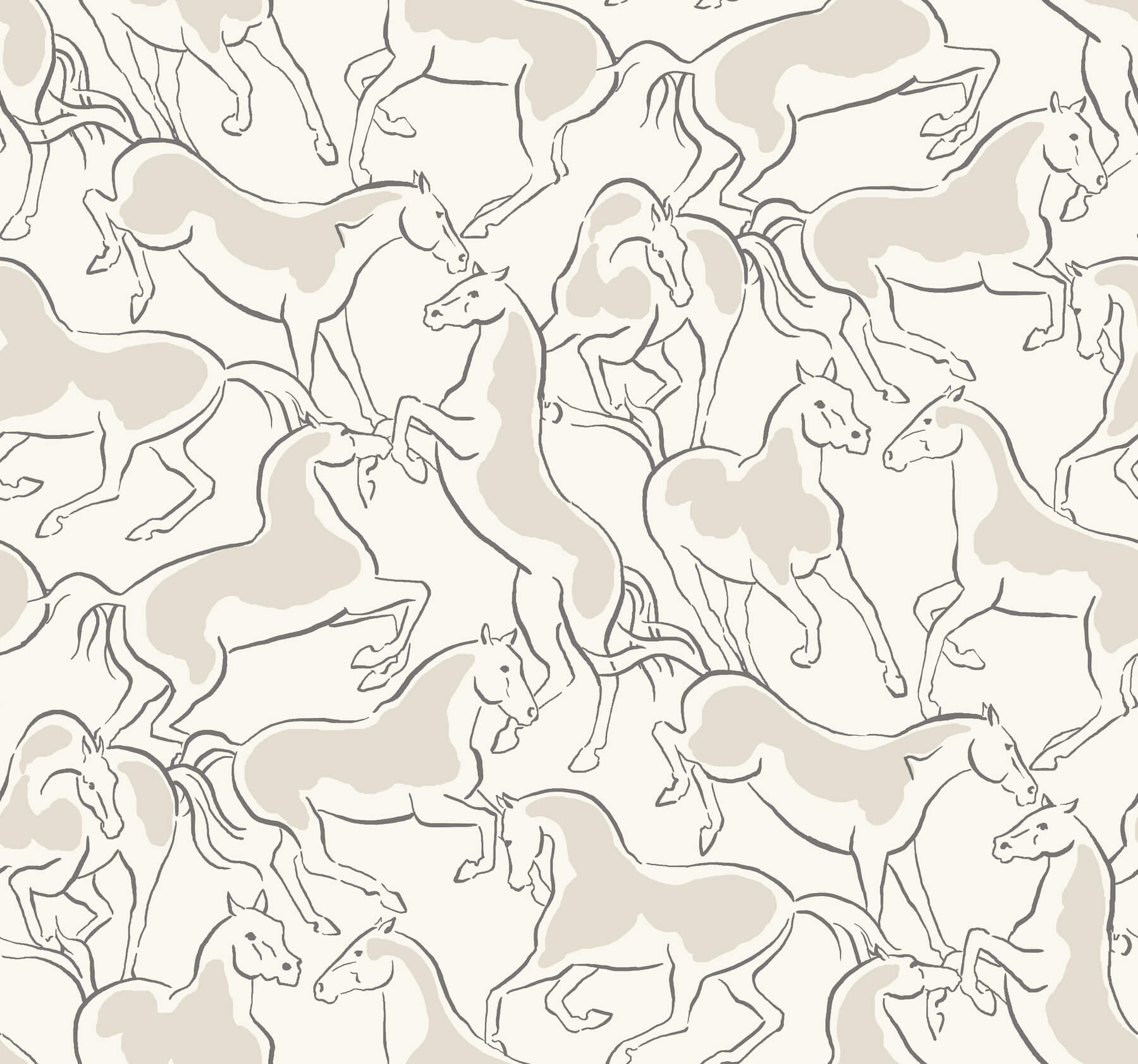 Dressage White Stallions Wallpaper