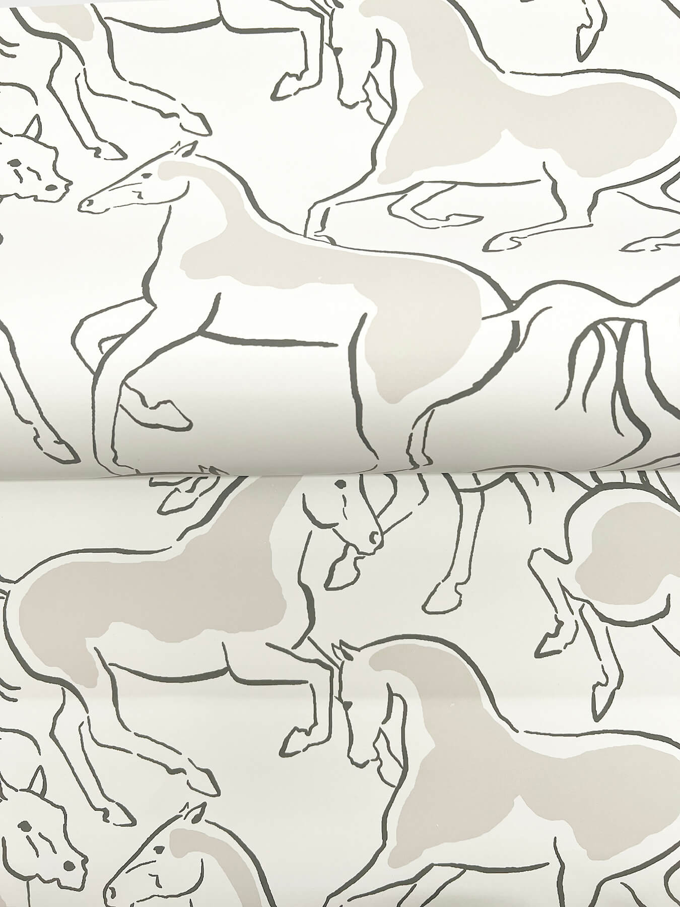 Dressage White Stallions Wallpaper