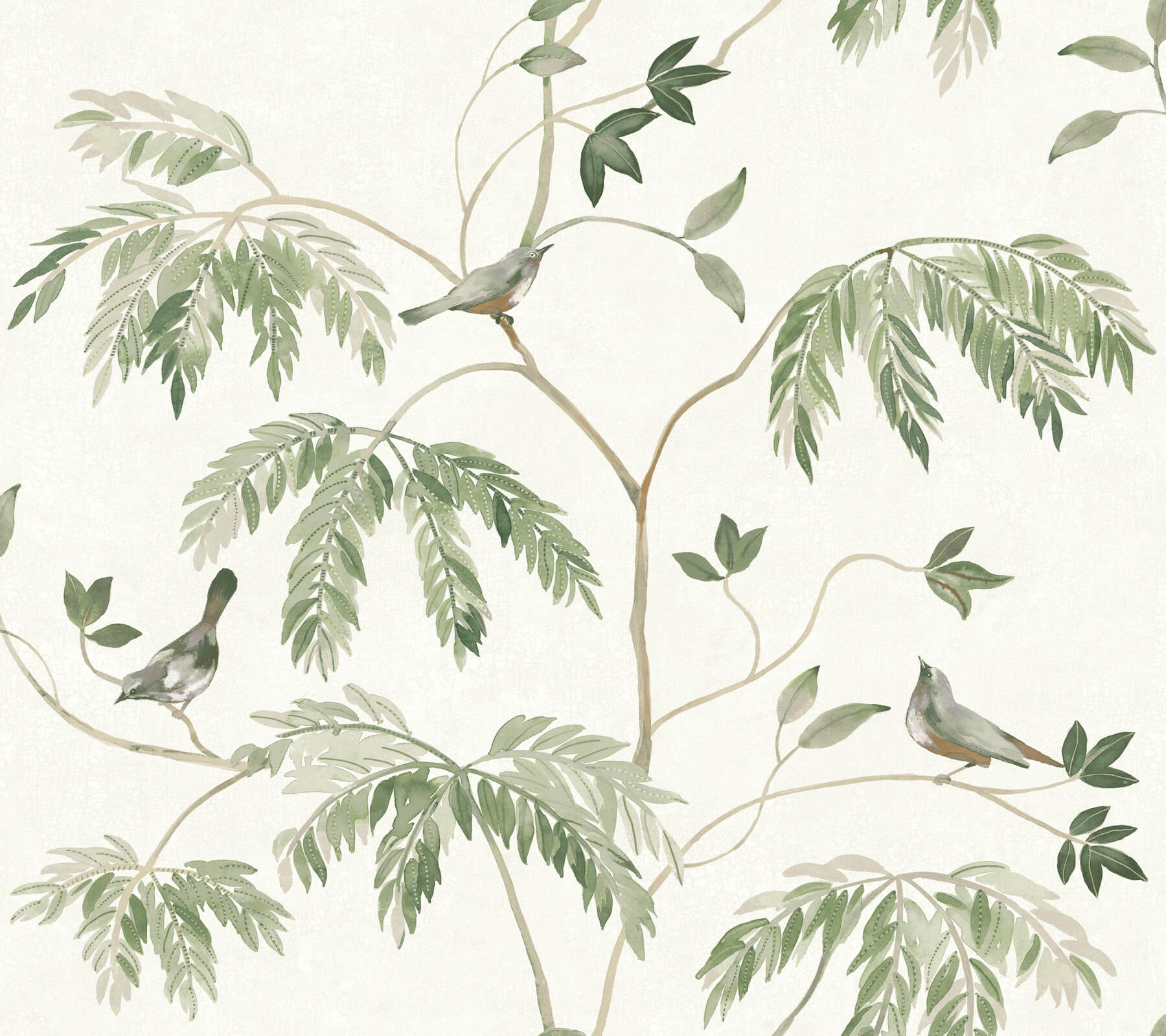 545-cillian-dark-green-botanical-bird-trail-wallpaper-1.jpg Cillian Dark Green Botanical Bird Trail Wallpaper