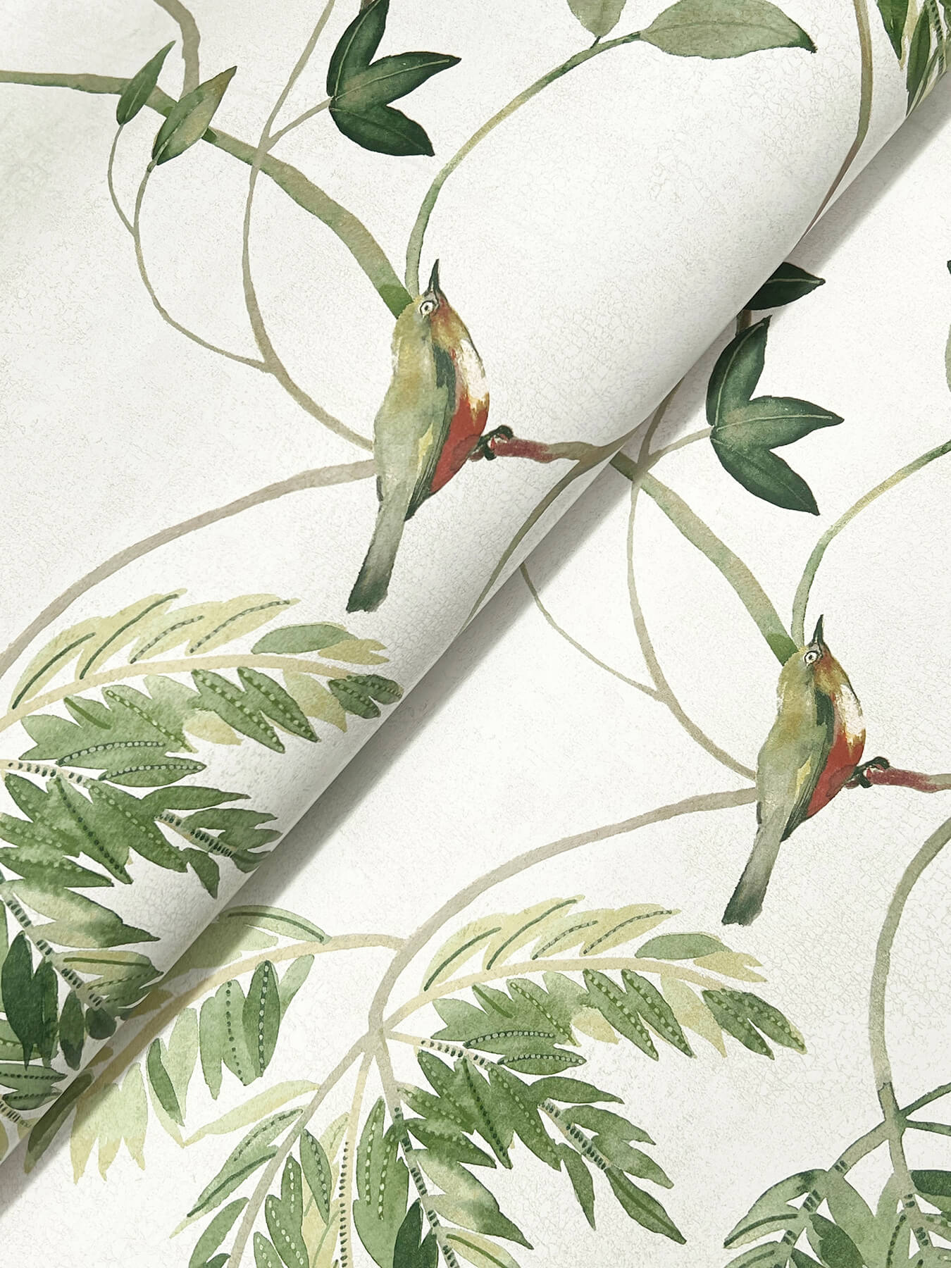 Cillian Green Botanical Bird Trail Wallpaper