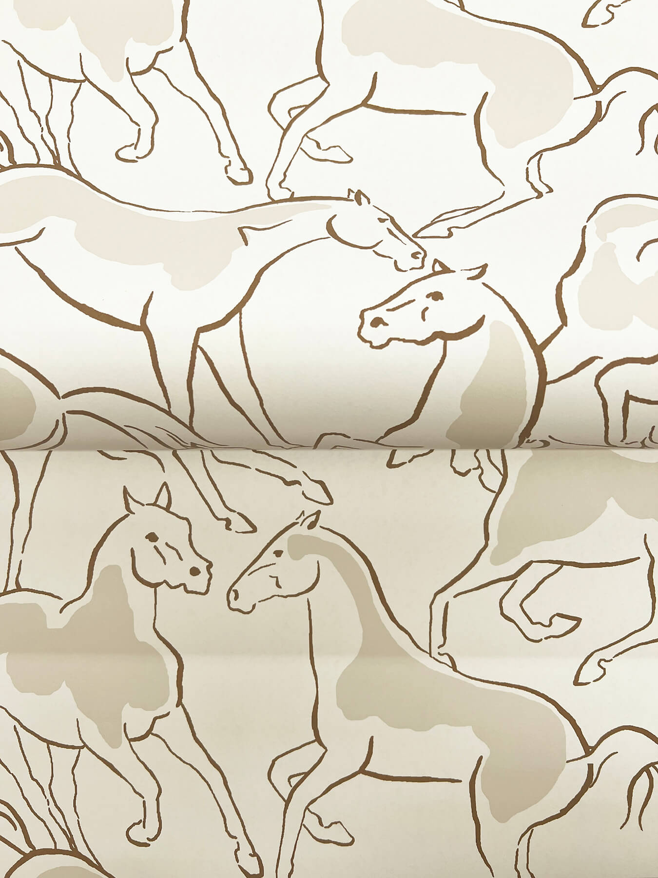 655-dressage-beige-stallions-wallpaper-4.jpg Dressage Beige Stallions Wallpaper
